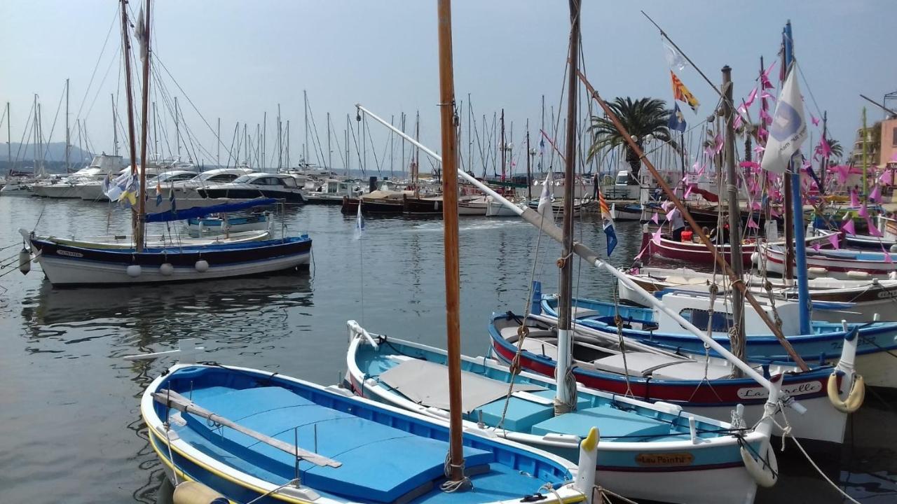 Appartement Rez De Villa Proche Port Et Plages De Sanary Zewnętrze zdjęcie